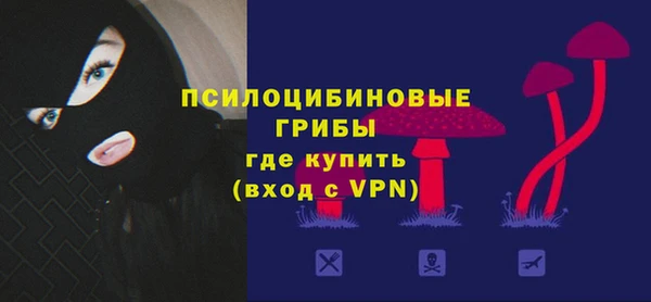дживик Алзамай
