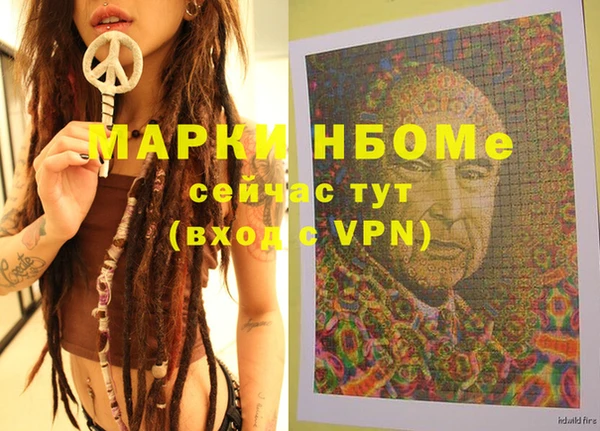 кокс Алексин