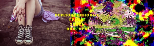 дживик Алзамай
