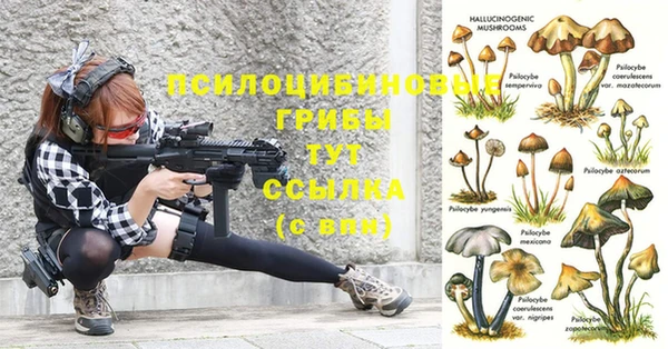 дживик Алзамай
