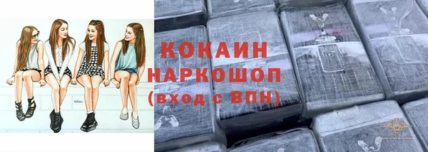 кокс Алексин
