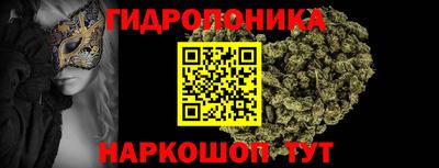 сатива Краснознаменск