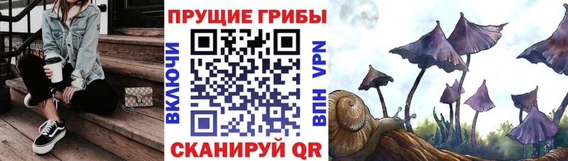 Галлюциногенные грибы Magic Shrooms  Гусь-Хрустальный 