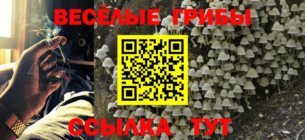 Псилоцибиновые грибы ЛСД  где продают наркотики  Галлюциногенные грибы мухоморы  Гусь-Хрустальный  Вход с VPN 